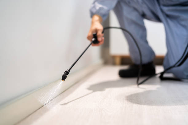 Certified termite inspector examining foundation in Keedysville