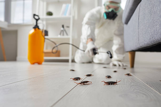 Commercial Rodent Management in Keedysville